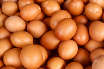 Texture and background of organic raw chicken eggs. Chicken eggs cover the frame.