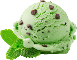 A vibrant scoop of mint chocolate chip ice cream adorned with chocolate flakes and fresh mint leaves.