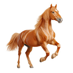 Fototapeta premium A Majestic Rearing Horse Exuding Power and Grace Against a Solid Background