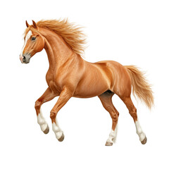 Naklejka premium A Vivid Representation of a Powerful Horse in a Dynamic Rearing Pose