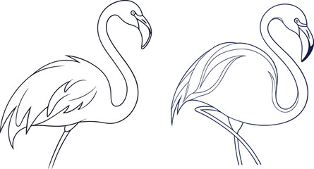 Flamingo line art vector and black and white drawing illustration design