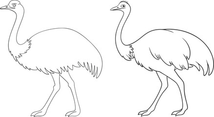 Emu line art vector and black and white drawing illustration design