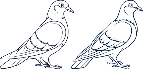 Pigeon line art vector and black and white drawing illustration design