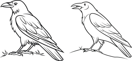 Fototapeta premium Crow line art vector and black and white drawing illustration design