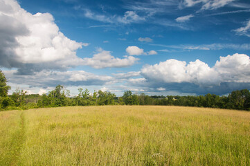 Obraz premium Apple Hill Morris connecticut landscape