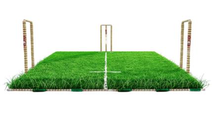Organized Cricket Field Boundaries on transparent background PNG.
