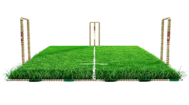 Organized Cricket Field Boundaries on transparent background PNG.