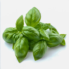 Fototapeta premium Fresh green basil leaves isolated on white background.