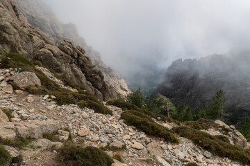 Blick über ein felsiges Gebirgstal mit Bäumen und Nebelschwaden, Korsika