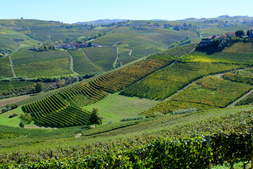 Panorama delle Langhe da Barbaresco in provincia di Cuneo, Piemonte, Italia.