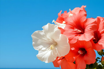 Vibrant Red and White Flowers Illustration