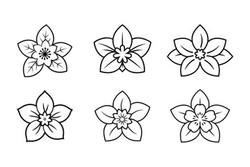cherry blossom flower line art vector illustration