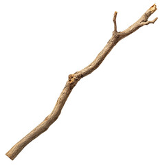 Single Branch, Dry, Wood, Texture, Rustic, Natural, Brown, Knot, Bark, Branch