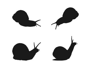 Snail vector icon. Isolated snail symbol illustration. Snails in the set. Garden and aquarium snails. Flat icons for logo, symbol, label, and sticker. Isolated on a white background.