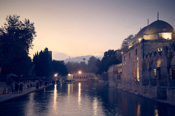 Fototapeta premium Rizvaniye mosque at Fish lake in Sanliurfa city at night, Turkey
