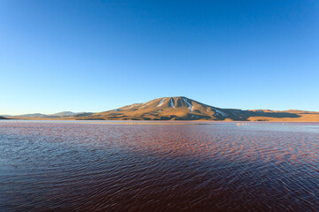 Laguna Colorada view, Bolivia