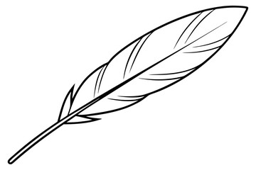 feather isolated on white background
