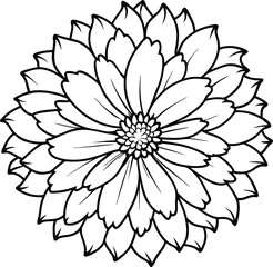 Detailed Calendula Flower Vector Illustration in Line Art