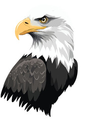 Fototapeta premium Eagle Vector Art Illustration with Black and White Color Palette