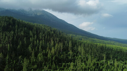 High Tatras mountains forest aerial view