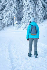 Hruby Jesenik, Young woman hikes on a mountain snow-covered trail, walks on white snow through the forest and looks at the snow-covered trees, winter landscape in the mountains.