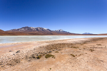 Laguna Hedionda view, Bolivia