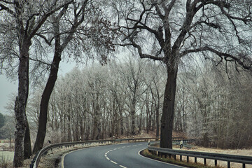 Fototapeta premium Road in Winter - Street - Snow - Winter - Cold - Background - Landscape - Country