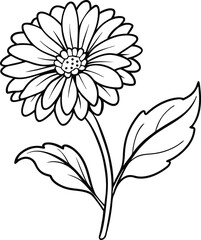 Elegant Calendula Flower with Detailed Bud and Leaf Vector Illustration