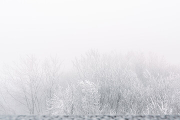 Winter landscape, white frost on trees and branches on a cold foggy day, view of the snow-covered...