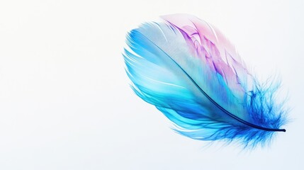 Colorful feather with gradient shades of blue and pink floating against a light background creating a delicate and ethereal aesthetic