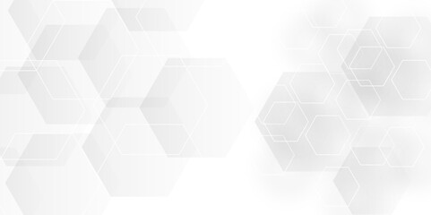 Abstract pattern with hexagonal white and gray technology line paper background. Hexagonal grid tile and mosaic structure mess cell. white and gray hexagon honeycomb geometric copy space.