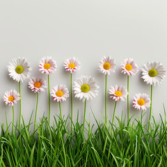 Daisies and Grass: A cheerful border of delicate white daisies with pink centers nestled in a row of vibrant green grass, creating a simple yet elegant composition.