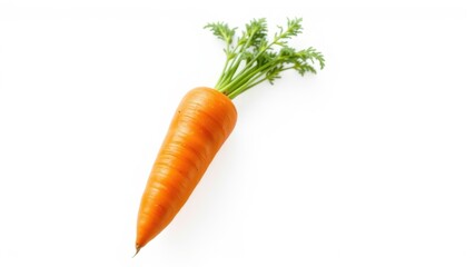 A Freshly Harvested Carrot with Its Green Tops Intact, Isolated on a Pure White Background