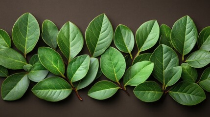 Fototapeta premium Fresh green leaves lie flat, showcasing rich colors and intricate textures