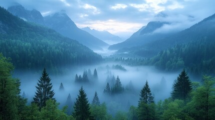 Misty Mountain Majesty: A Serene Valley Dawn