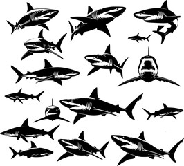 silhouettes of shark