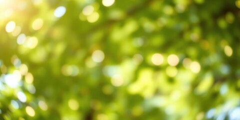 Obraz premium Sunlight Filtering Through Green Leaves, Creating a Dreamy Bokeh Effect