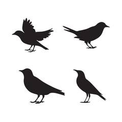 bird silhouette vector arts and design