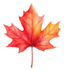 Vibrant red maple leaf showcasing autumn colors and intricate details