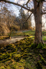 Beautiful Autumn sunrise landscape image of River Rathay in Lake District with glowing sunlight hitting trees