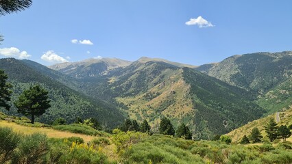 Obraz premium Les montagnes de la réserve naturelle de Mantet (Pyrénées-Orientales)