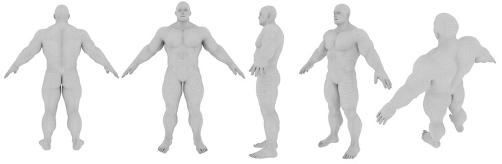 3D human wireframe polygon male muscular man strong body