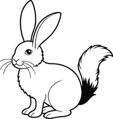 Adorable Blacktailed Jackrabbit Line Drawing Wildlife, Nature, Animal