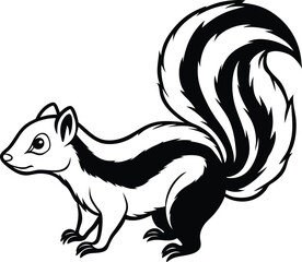Striped Skunk Cartoon Illustration, Black and White, Mammal, Wildlife, Nature