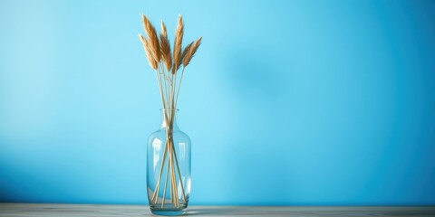 Minimalist still life featuring a glass vase with dried stalks against a calming blue backdrop.