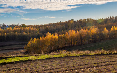 An autumn agricultural landscape. Roztocze. Lublin Voivodeship. Poland. The image depicts a picturesque autumn agricultural landscape. 