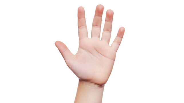 Open Hand Gesture for Communication