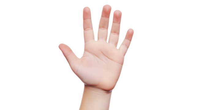 Open Hand Gesture for Communication