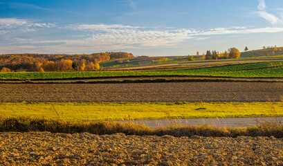 An autumn agricultural landscape. Roztocze. Lublin Voivodeship. Poland. The image depicts a picturesque autumn agricultural landscape. 