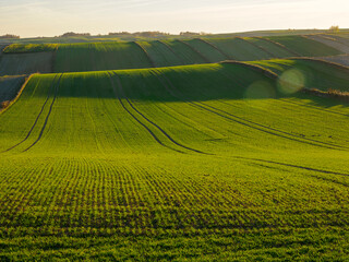 An autumn agricultural landscape. Roztocze. Lublin Voivodeship. Poland. The image depicts a picturesque autumn agricultural landscape. 